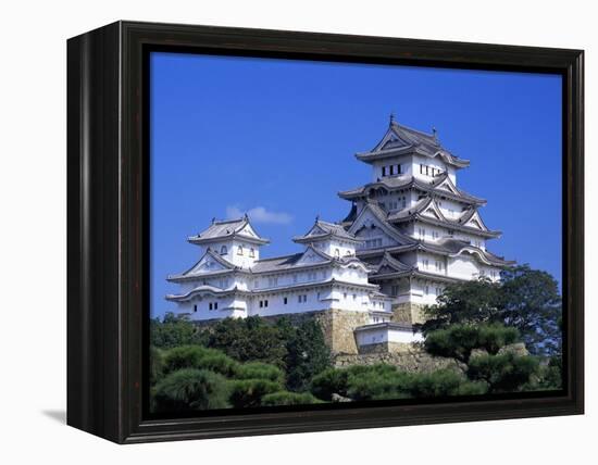 Himeji Castle, Honshu, Japan-Steve Vidler-Framed Premier Image Canvas