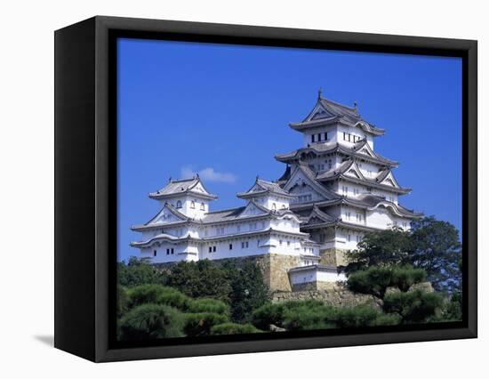 Himeji Castle, Honshu, Japan-Steve Vidler-Framed Premier Image Canvas