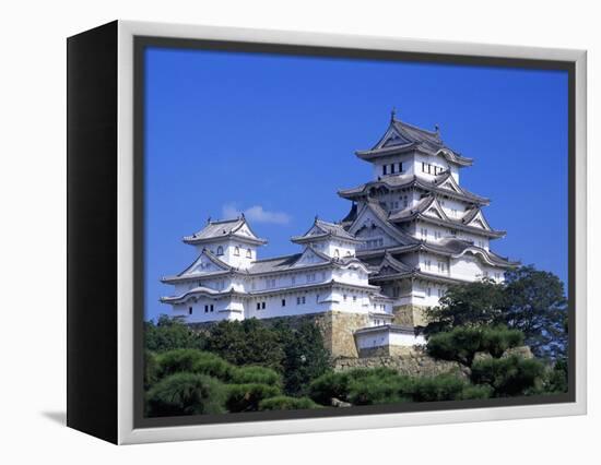 Himeji Castle, Honshu, Japan-Steve Vidler-Framed Premier Image Canvas
