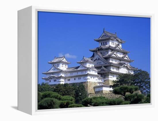 Himeji Castle, Honshu, Japan-Steve Vidler-Framed Premier Image Canvas