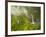 Hinalele Falls (Right) and Other Waterfalls at the Head of Wainiha Valley, Kauai, Hawaii.-Ethan Welty-Framed Photographic Print