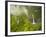 Hinalele Falls (Right) and Other Waterfalls at the Head of Wainiha Valley, Kauai, Hawaii.-Ethan Welty-Framed Photographic Print