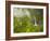 Hinalele Falls (Right) and Other Waterfalls at the Head of Wainiha Valley, Kauai, Hawaii.-Ethan Welty-Framed Photographic Print