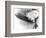 Hindenburg Crash, 1937-us Navy-Framed Photographic Print