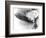 Hindenburg Crash, 1937-us Navy-Framed Photographic Print