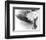 Hindenburg Crash, 1937-us Navy-Framed Photographic Print