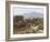 Hindhead from Sandhills, Witley-Helen Allingham-Framed Giclee Print