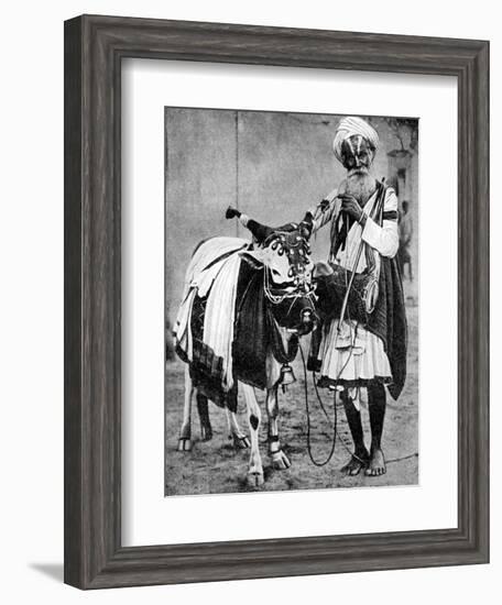 Hindu Cow with Sacred Cow, India, 1936-null-Framed Premium Giclee Print