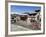 Hindu Festival, Pashupatinath Temple, Kathmandu, Nepal-Ethel Davies-Framed Photographic Print