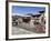 Hindu Festival, Pashupatinath Temple, Kathmandu, Nepal-Ethel Davies-Framed Photographic Print