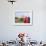 Hindu Women with Colorful Veils at the Taj Mahal, Agra, India-Bill Bachmann-Framed Photographic Print displayed on a wall