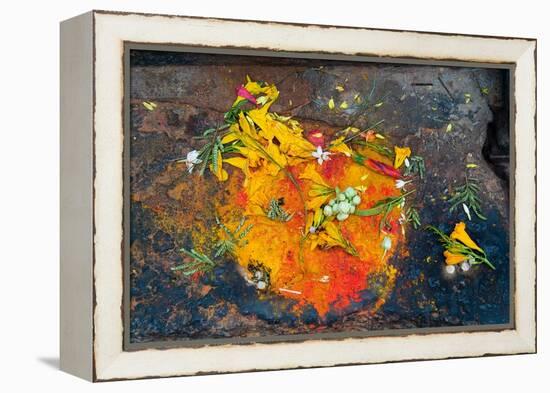 Hinduism: Pigments (Red Kumkum, Yellow Turmeric/Saffron Powder) and Scattered Flower Petal?-null-Framed Premier Image Canvas