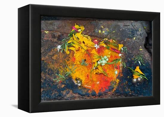 Hinduism: Pigments (Red Kumkum, Yellow Turmeric/Saffron Powder) and Scattered Flower Petal?-null-Framed Premier Image Canvas