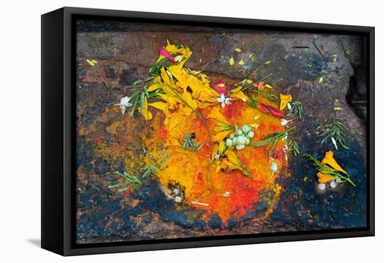 Hinduism: Pigments (Red Kumkum, Yellow Turmeric/Saffron Powder) and Scattered Flower Petal?-null-Framed Premier Image Canvas