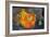 Hinduism: Pigments (Red Kumkum, Yellow Turmeric/Saffron Powder) and Scattered Flower Petal?-null-Framed Photographic Print