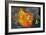 Hinduism: Pigments (Red Kumkum, Yellow Turmeric/Saffron Powder) and Scattered Flower Petal?-null-Framed Photographic Print