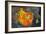 Hinduism: Pigments (Red Kumkum, Yellow Turmeric/Saffron Powder) and Scattered Flower Petal?-null-Framed Photographic Print