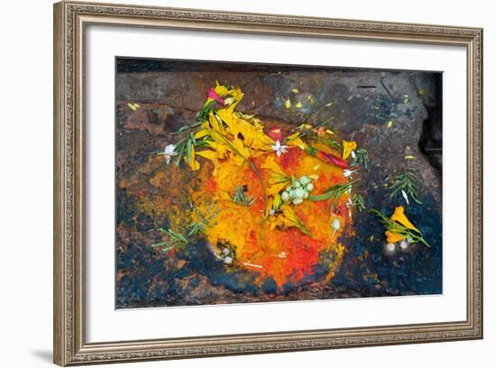 Hinduism: Pigments (Red Kumkum, Yellow Turmeric/Saffron Powder) and Scattered Flower Petal?--Framed Photographic Print