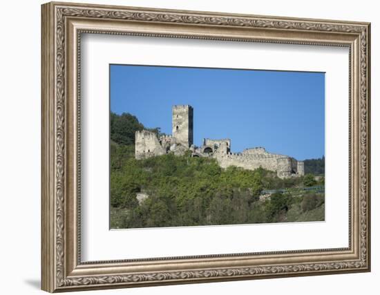 Hinterhaus castle ruins, Spitz, Wachau Valley, UNESCO World Heritage Site, Lower Austria, Austria, -Rolf Richardson-Framed Photographic Print