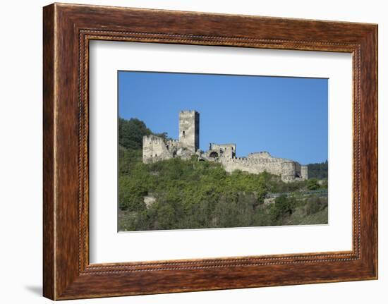 Hinterhaus castle ruins, Spitz, Wachau Valley, UNESCO World Heritage Site, Lower Austria, Austria, -Rolf Richardson-Framed Photographic Print