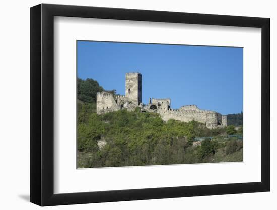 Hinterhaus castle ruins, Spitz, Wachau Valley, UNESCO World Heritage Site, Lower Austria, Austria, -Rolf Richardson-Framed Photographic Print