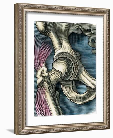 Hip Joint, Artwork-Bill Sanderson-Framed Photographic Print