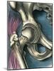 Hip Joint, Artwork-Bill Sanderson-Mounted Photographic Print