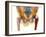 Hip Joint Replacement, X-ray-Science Photo Library-Framed Photographic Print