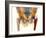 Hip Joint Replacement, X-ray-Science Photo Library-Framed Photographic Print