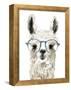 Hip Llama II-Victoria Borges-Framed Stretched Canvas