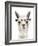 Hip Llama IV-Victoria Borges-Framed Art Print