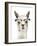 Hip Llama IV-Victoria Borges-Framed Art Print