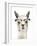 Hip Llama IV-Victoria Borges-Framed Art Print