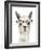 Hip Llama IV-Victoria Borges-Framed Art Print