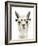 Hip Llama IV-Victoria Borges-Framed Art Print