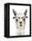 Hip Llama IV-Victoria Borges-Framed Stretched Canvas