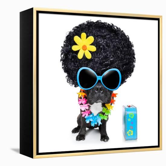 Hippie Dog-Javier Brosch-Framed Premier Image Canvas