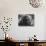 Hippie Poet Allen Ginsberg Smoking-John Loengard-Premium Photographic Print displayed on a wall