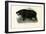 Hippo, 1863-79-Raimundo Petraroja-Framed Giclee Print