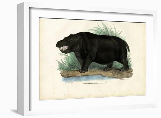 Hippo, 1863-79-Raimundo Petraroja-Framed Giclee Print