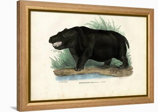 Hippo, 1863-79-Raimundo Petraroja-Framed Premier Image Canvas