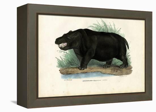 Hippo, 1863-79-Raimundo Petraroja-Framed Premier Image Canvas