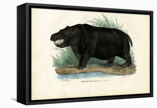 Hippo, 1863-79-Raimundo Petraroja-Framed Premier Image Canvas