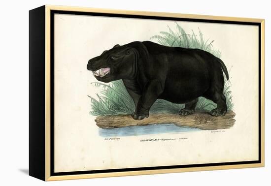 Hippo, 1863-79-Raimundo Petraroja-Framed Premier Image Canvas