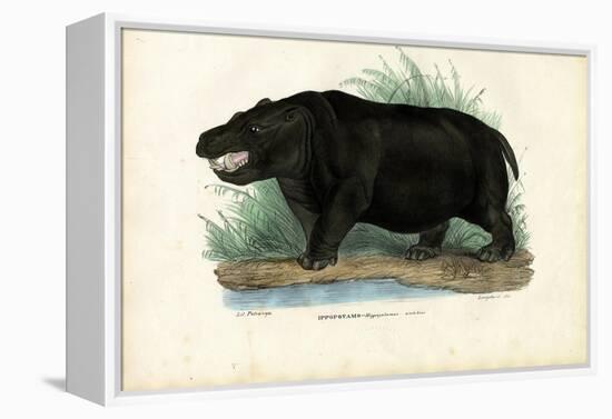 Hippo, 1863-79-Raimundo Petraroja-Framed Premier Image Canvas