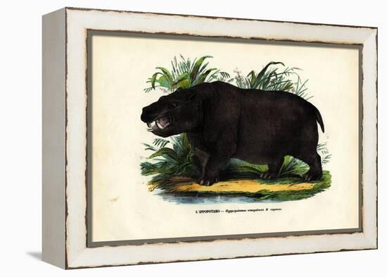 Hippo, 1863-79-Raimundo Petraroja-Framed Premier Image Canvas