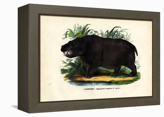 Hippo, 1863-79-Raimundo Petraroja-Framed Premier Image Canvas