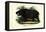 Hippo, 1863-79-Raimundo Petraroja-Framed Premier Image Canvas