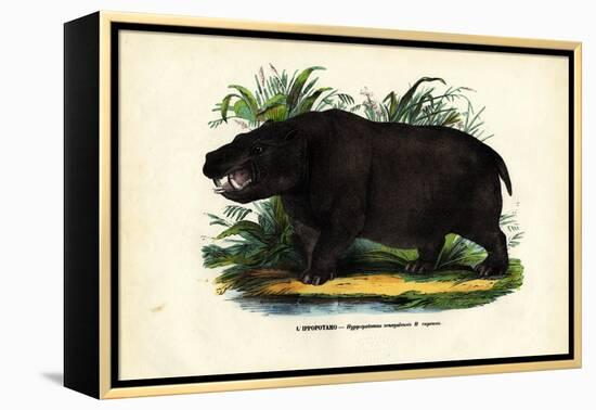 Hippo, 1863-79-Raimundo Petraroja-Framed Premier Image Canvas