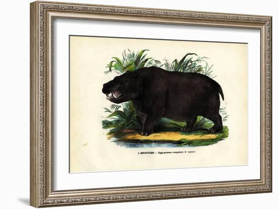 Hippo, 1863-79-Raimundo Petraroja-Framed Giclee Print